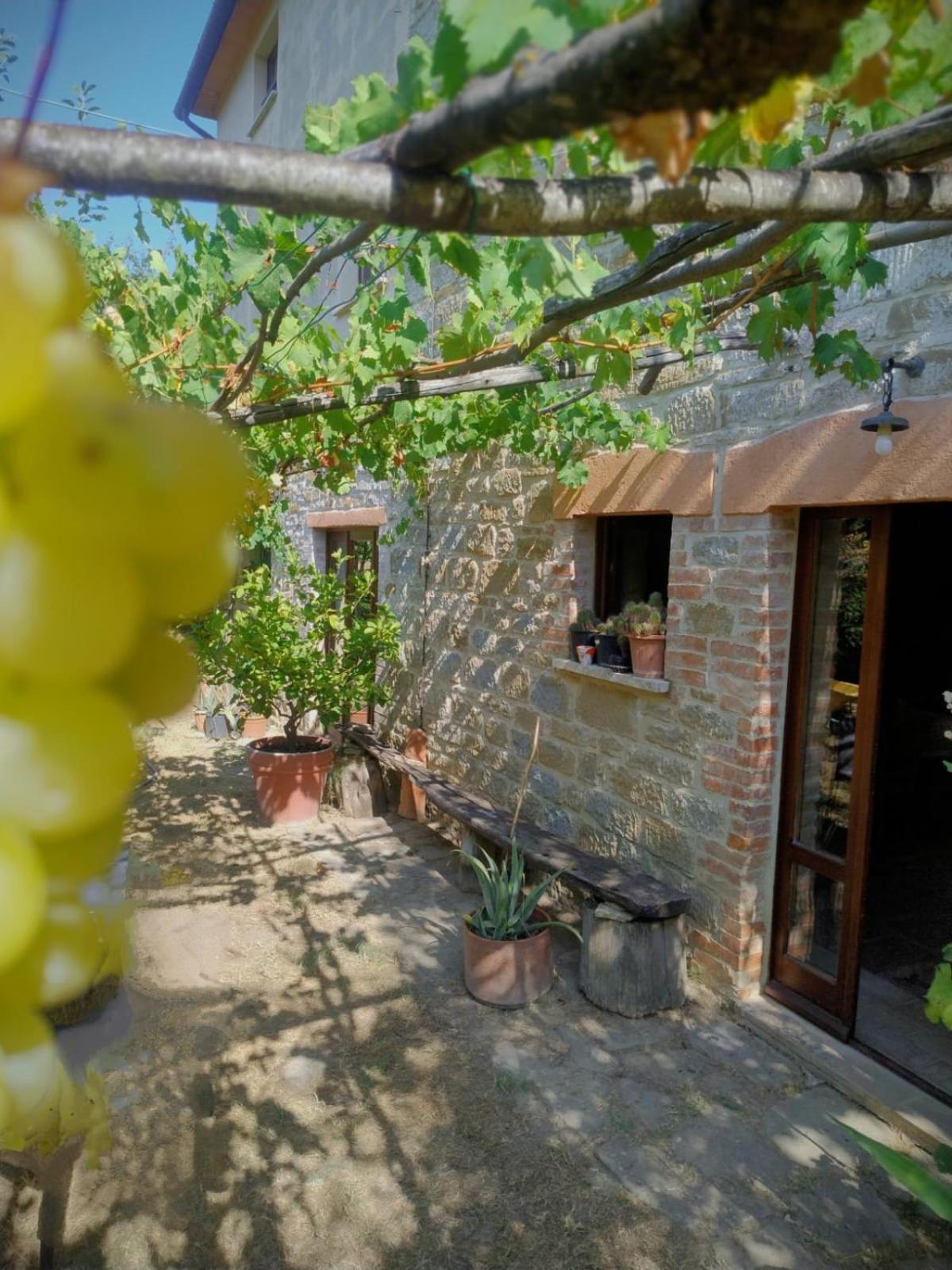 La Fonte B&B Pietralunga  Exteriör bild