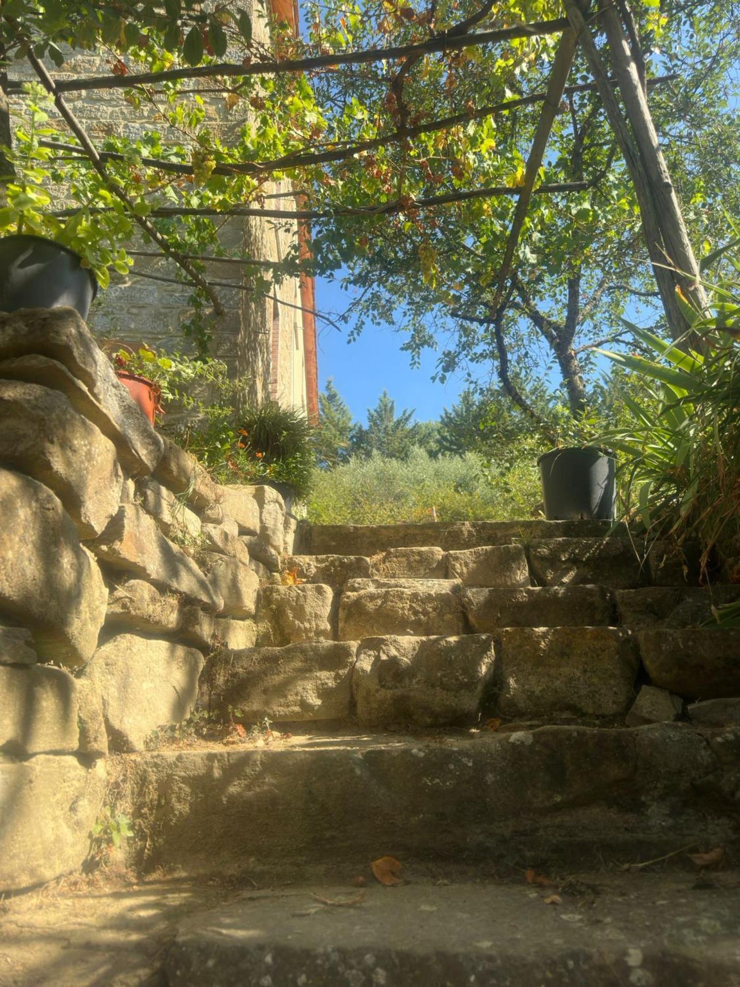 La Fonte B&B Pietralunga  Exteriör bild