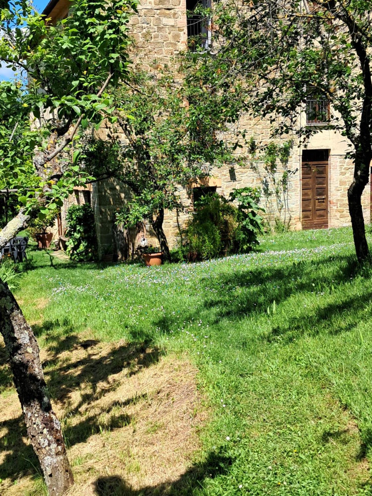 La Fonte B&B Pietralunga  Exteriör bild
